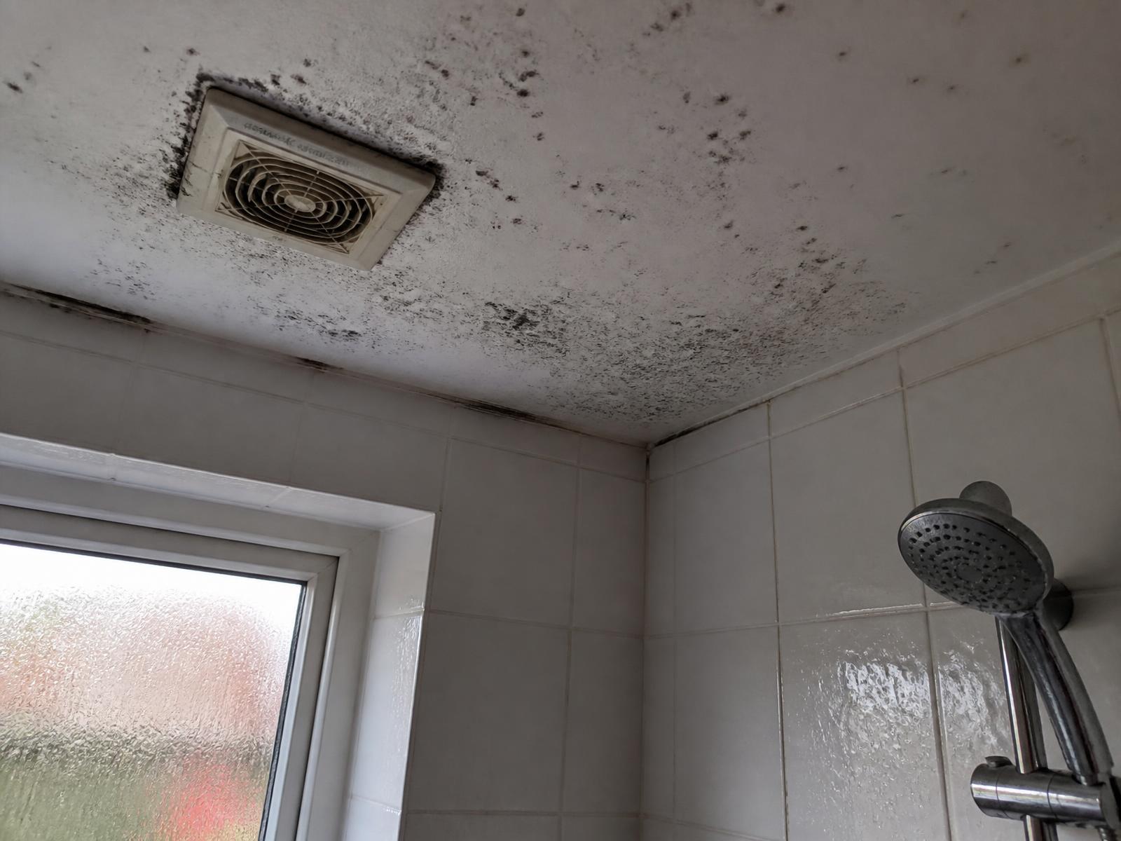 Recurring black mould spreading across a UK bathroom ceiling around the extractor grille, with condensation on the tiles and window